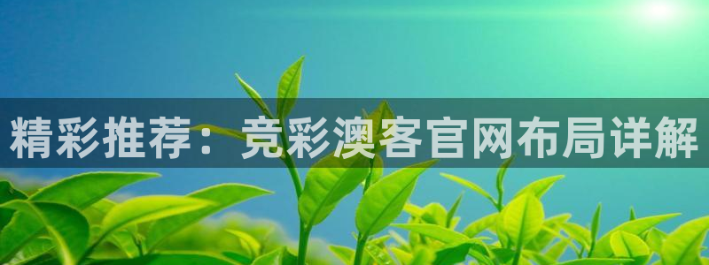 WG电子2登录：精彩推荐：竞彩澳客官网布局详解