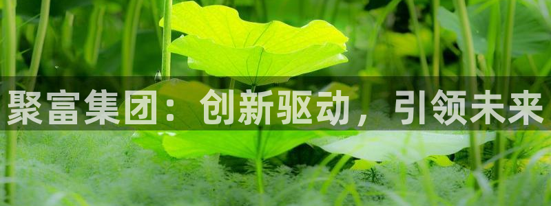 WG电子体育免费注册入口：聚富集团：创新驱动，引领未来