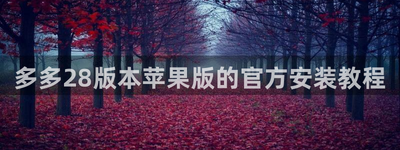WG电子平台：多多28版本苹果版的官方安装教程