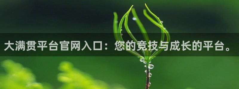 wg电子网站：大满贯平台官网入口：您的竞技与成长的平台。