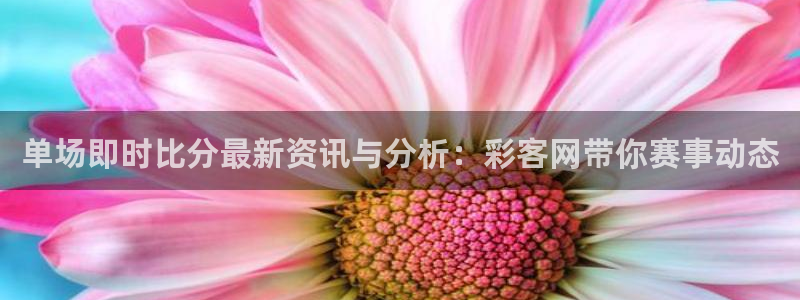 WG电子体育代理申请流程：单场即时比分最新资讯与分析：彩客网带你赛事动态