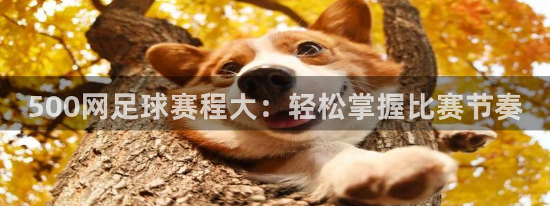 wg电子注册登录入口：500网足球赛程大：轻松掌握比赛节奏